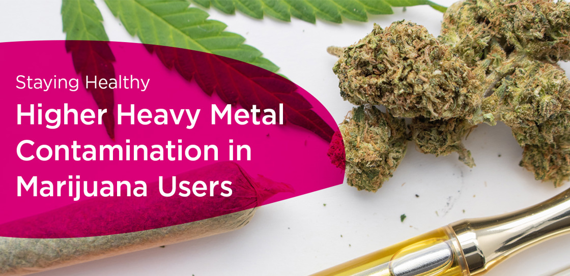 Staying Healthy: Higher Heavy Metal Contamination in Marijuana Users